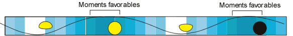 Moments favorables et défavorables en fonction de la lune